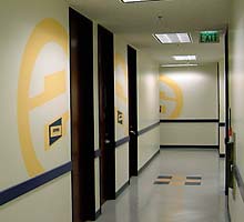 wall graphics, custom signs